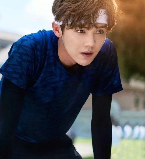 鹿晗最新小料爆料,揭秘神秘小料背后的惊喜与期待 第3张 鹿晗最新小料爆料,揭秘神秘小料背后的惊喜与期待 第3张